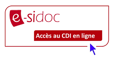 esidoc2.png